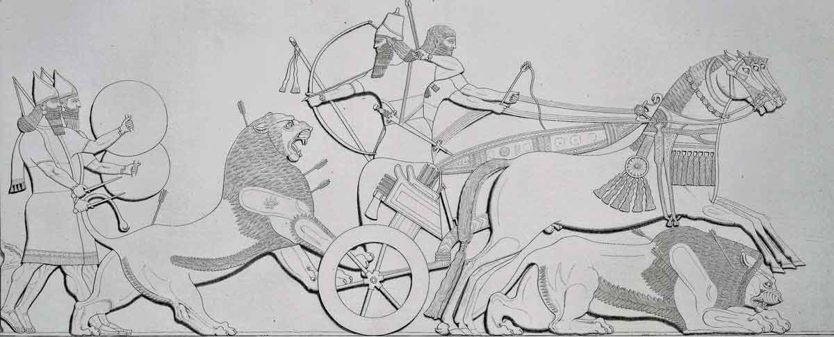 layard king hunting lions nimroud drwawing
