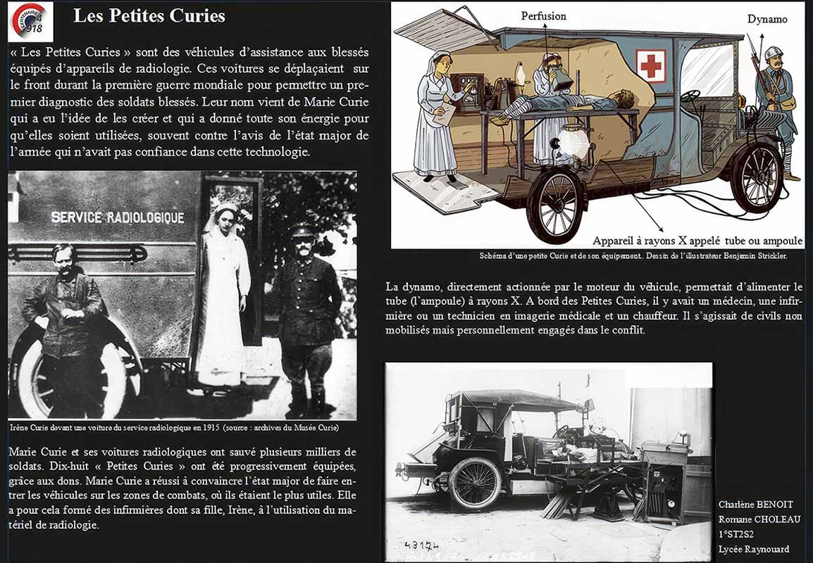 petite curies world war i