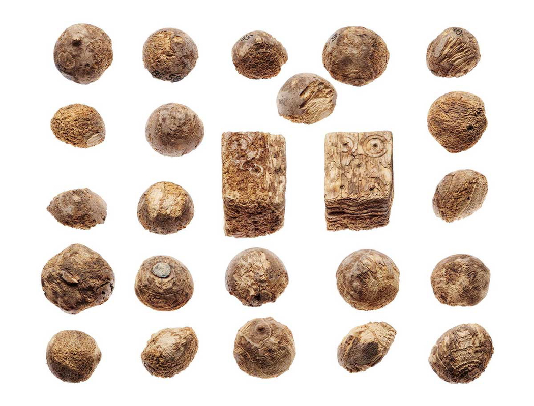 viking games birka whale dice