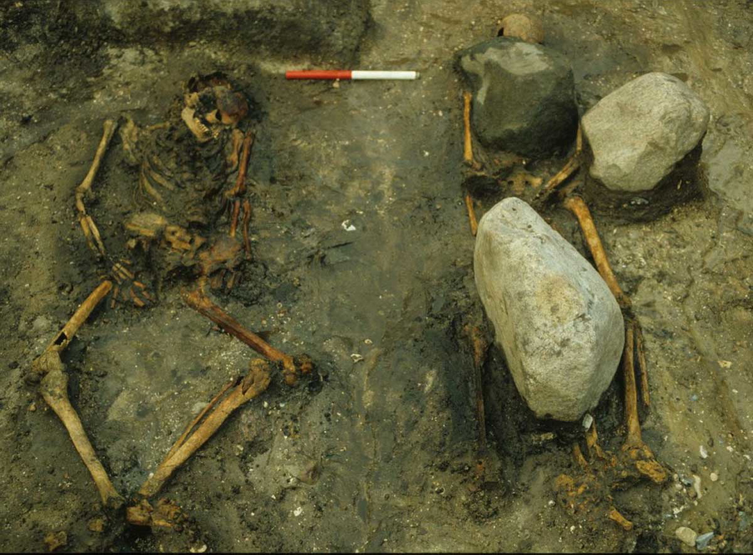 viking women gerdrup grave