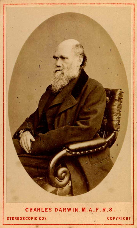 charles darwin photograph