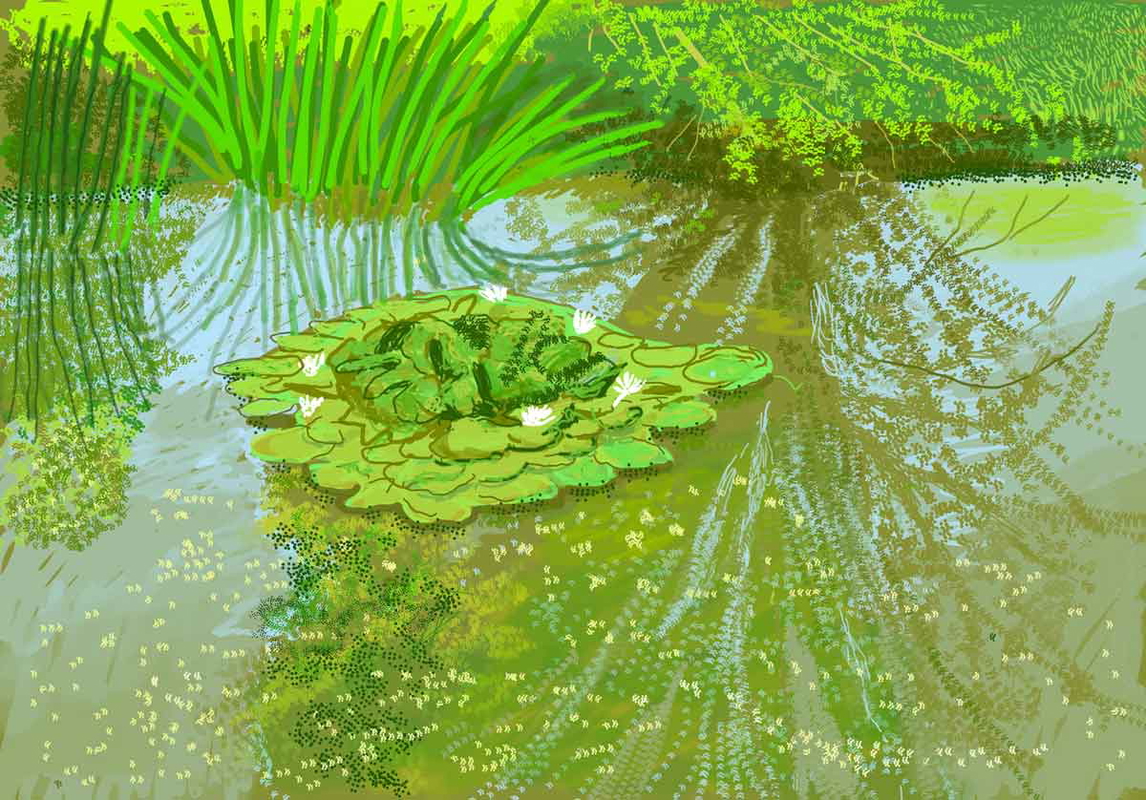 david hockney 340 ipad drawing