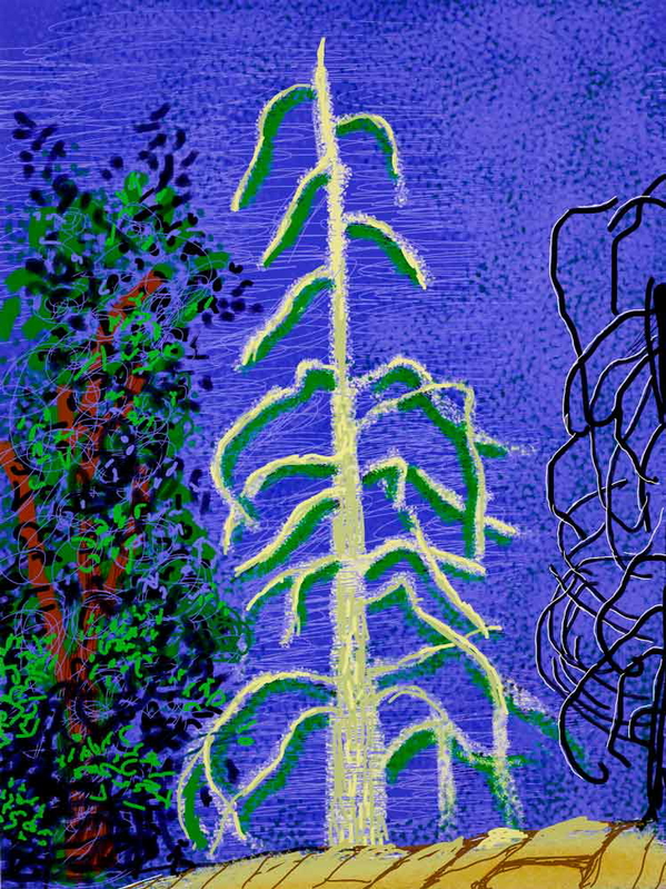 david hockney untitled 14 yosemite suite ipad drawing