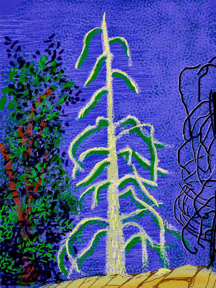 Untitled No. 14 from The Yosemite Suite by David Hockney