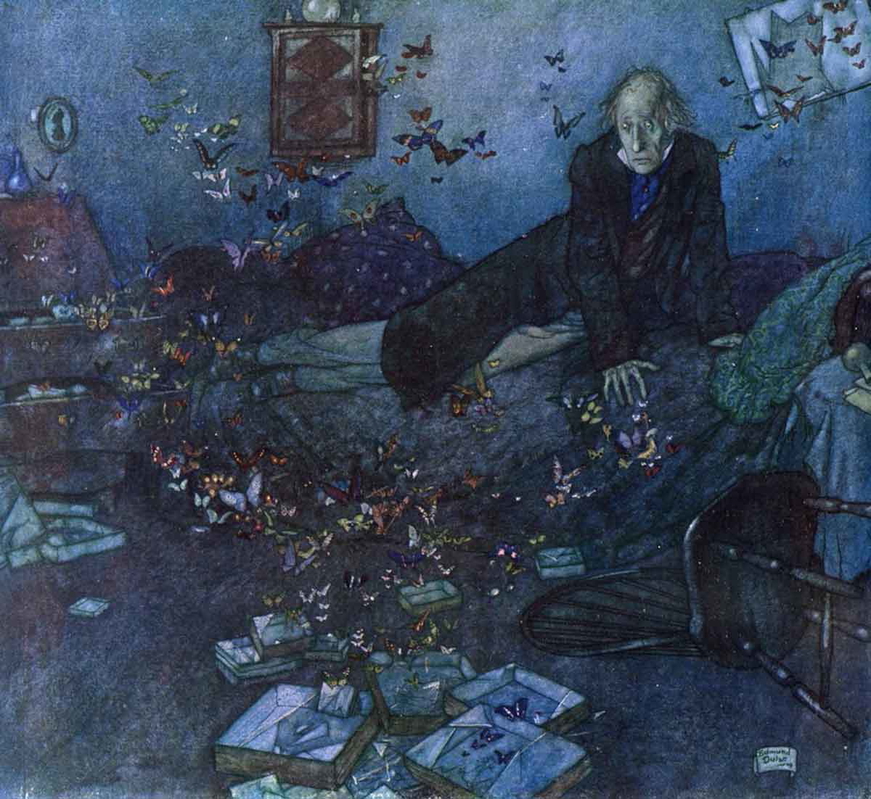 dulac le papillon rouge