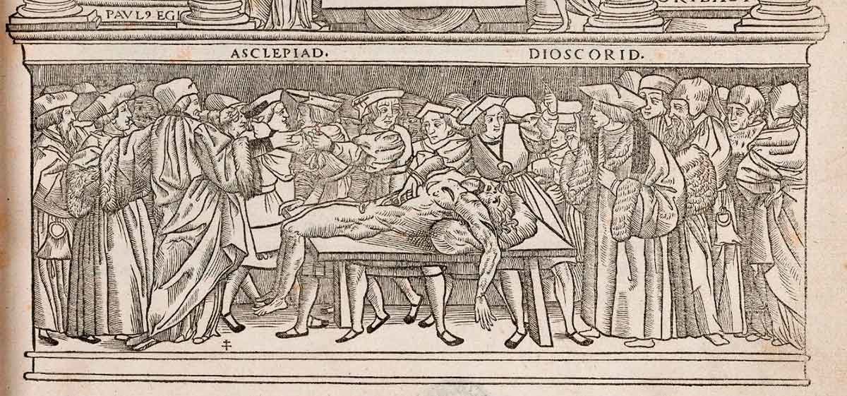 galen de anatomical administrationbus