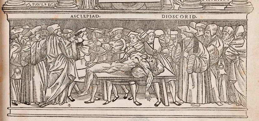 Did Renaissance Artists Really Use Cadavers to Learn Anatomy?