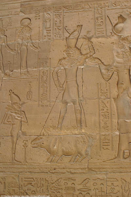 horus seth relief hippopotamus temple facade edfu ptolemaic period
