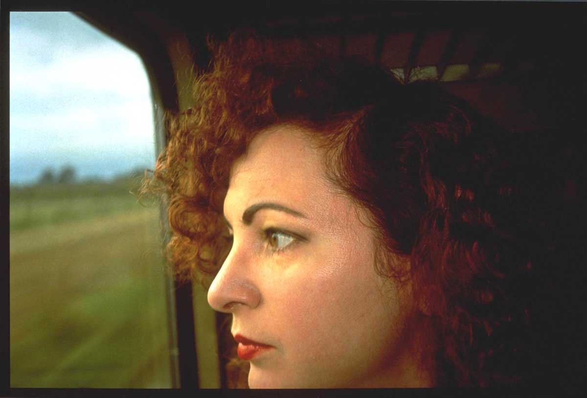 nan goldin self portrait train