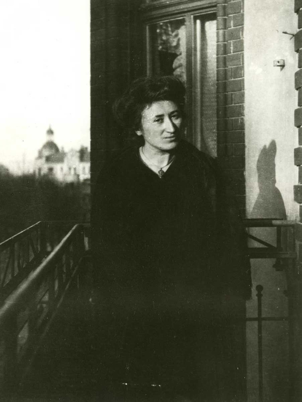 rosa luxemburg portrait