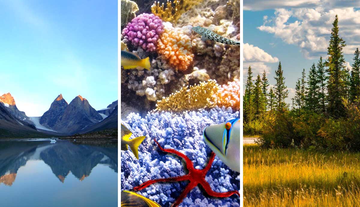 the largest national-parks in the world