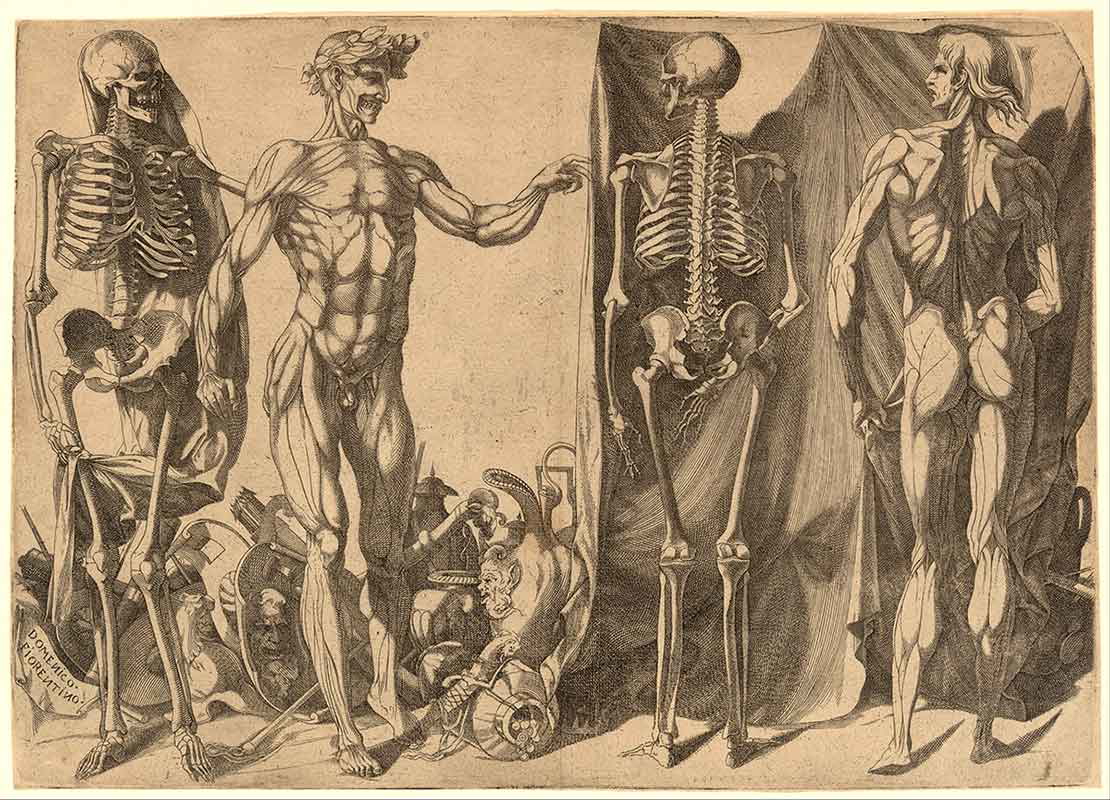 two flayed men and thair skeletons