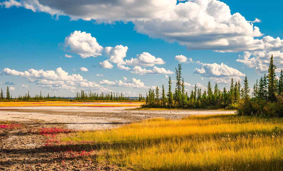 wood buffalo national park canada