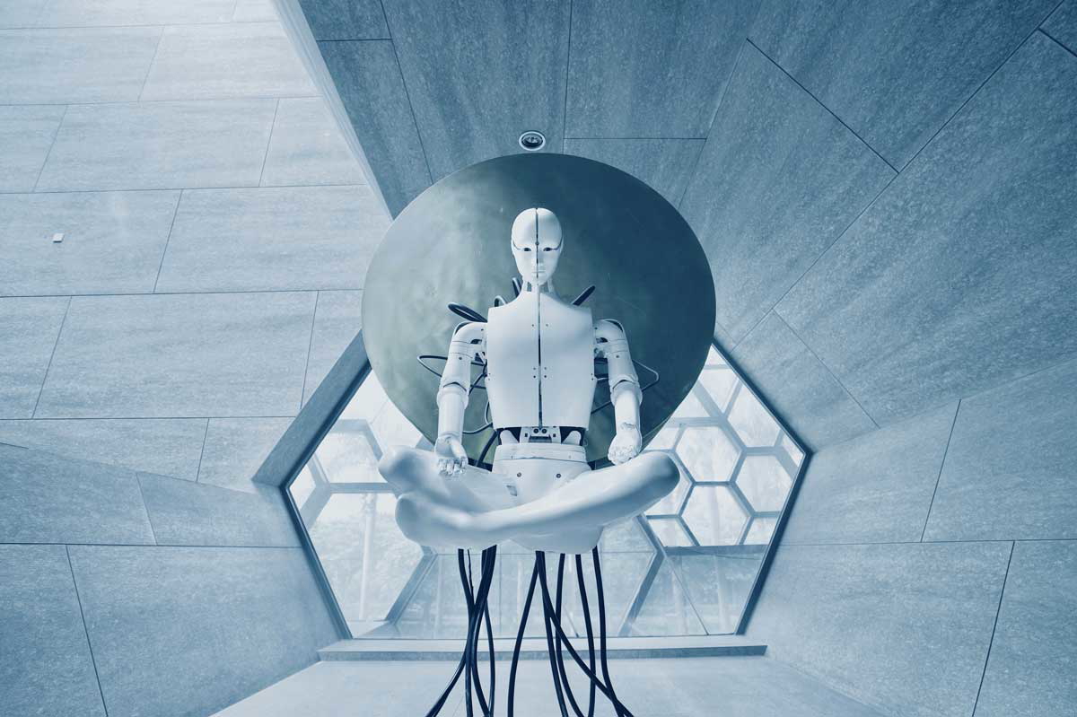 aideal hwa robot photograph