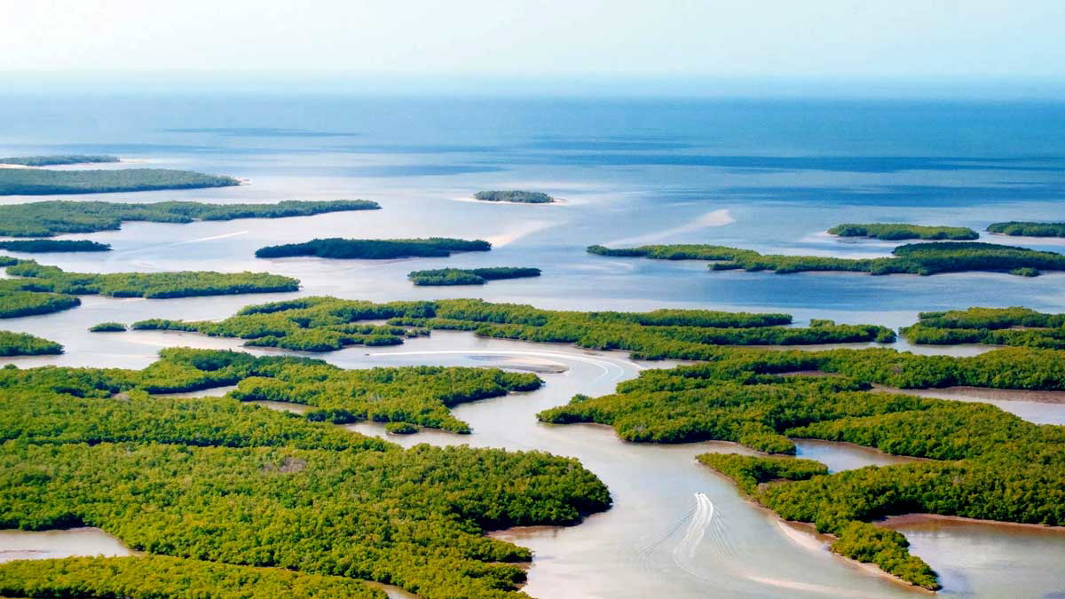 eastern air lines flight 401 florida everglades