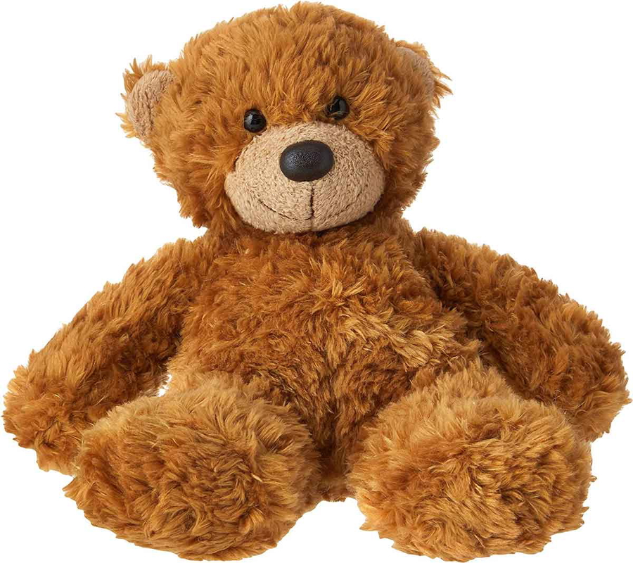famous toys teddy bear