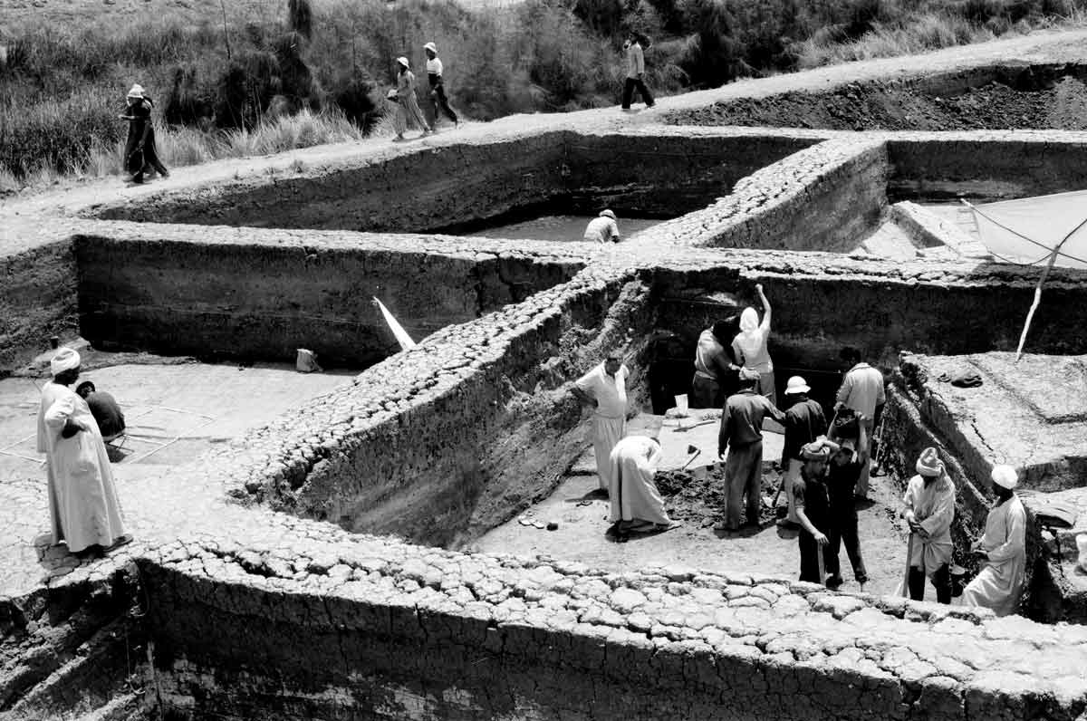 hyksos avaris excavation