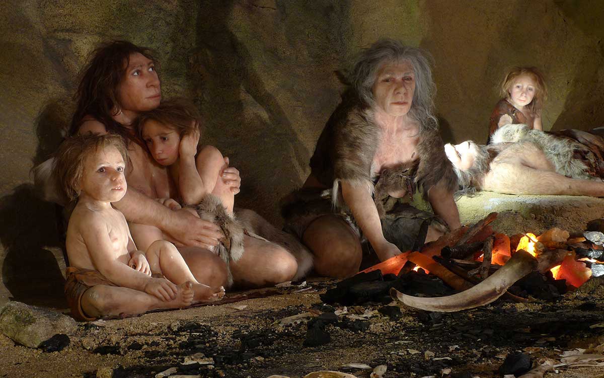 neanderthal home life