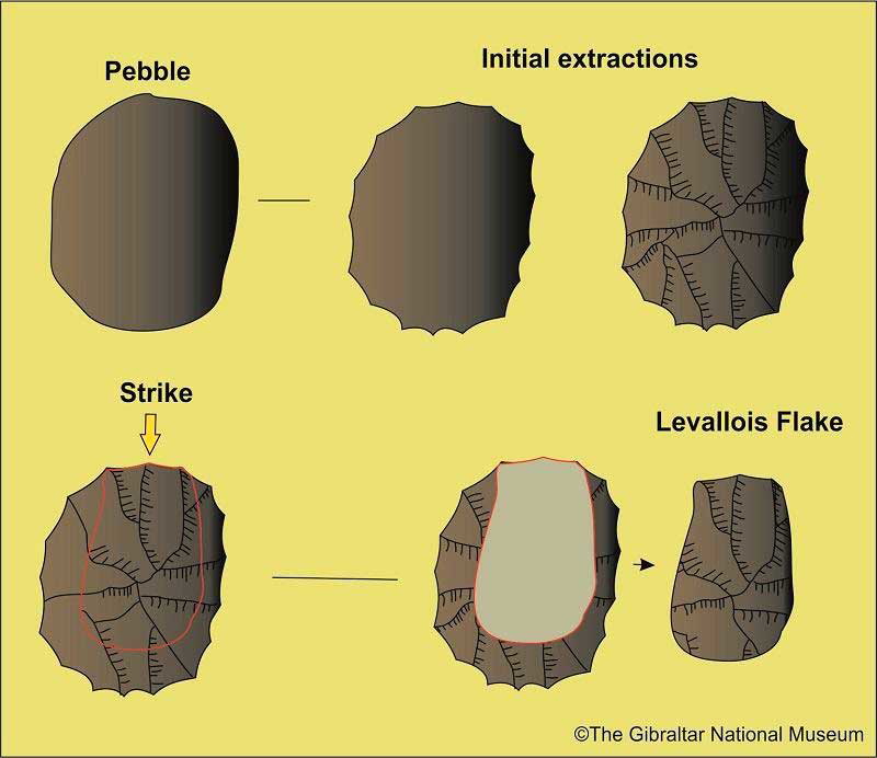 neanderthals levallois gibraltar