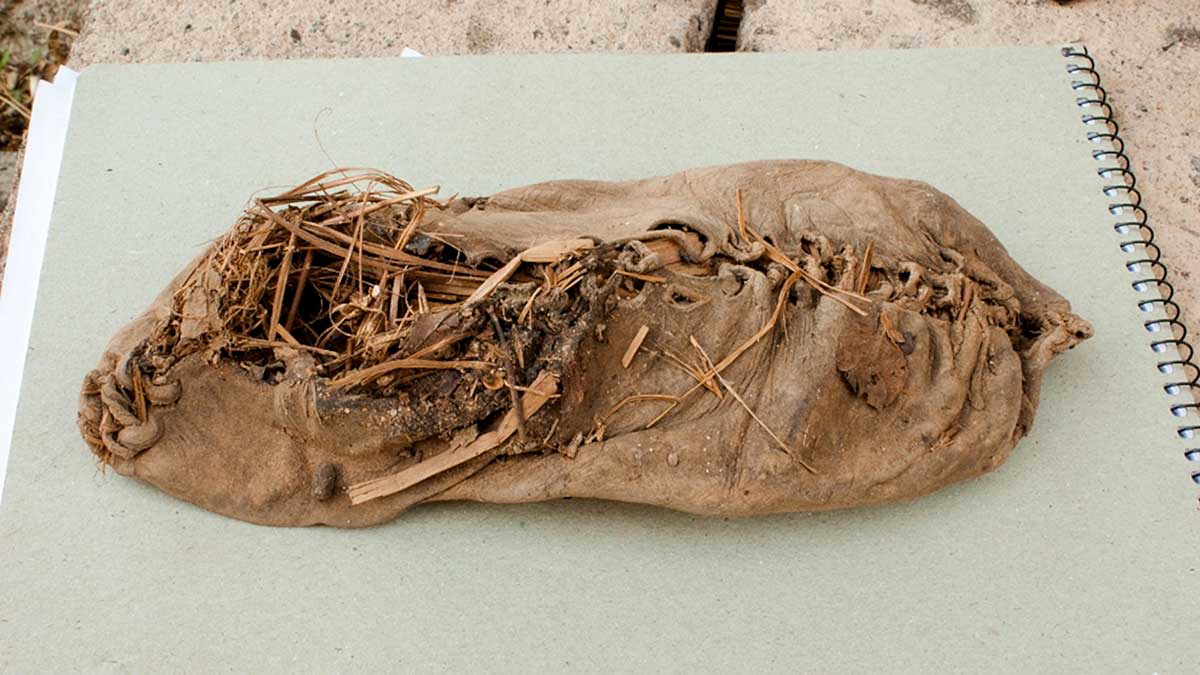 prehistoric inventions old shoe