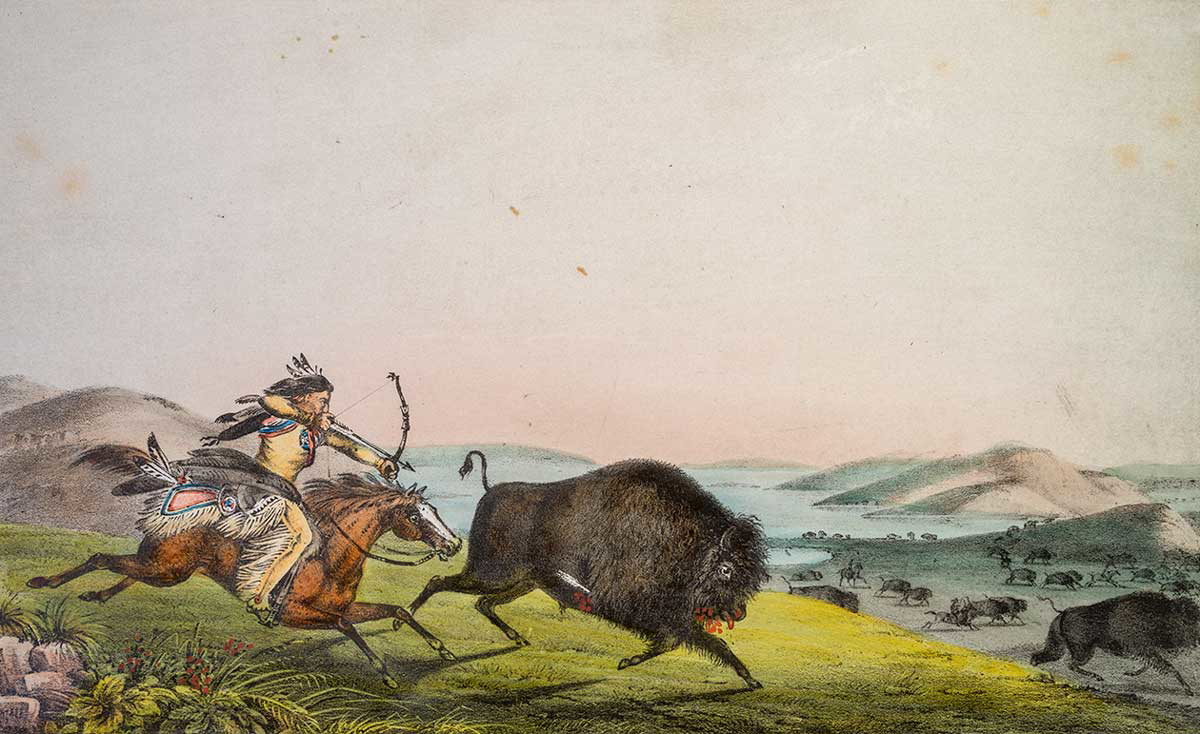 rindisbacher hunting the buffalo