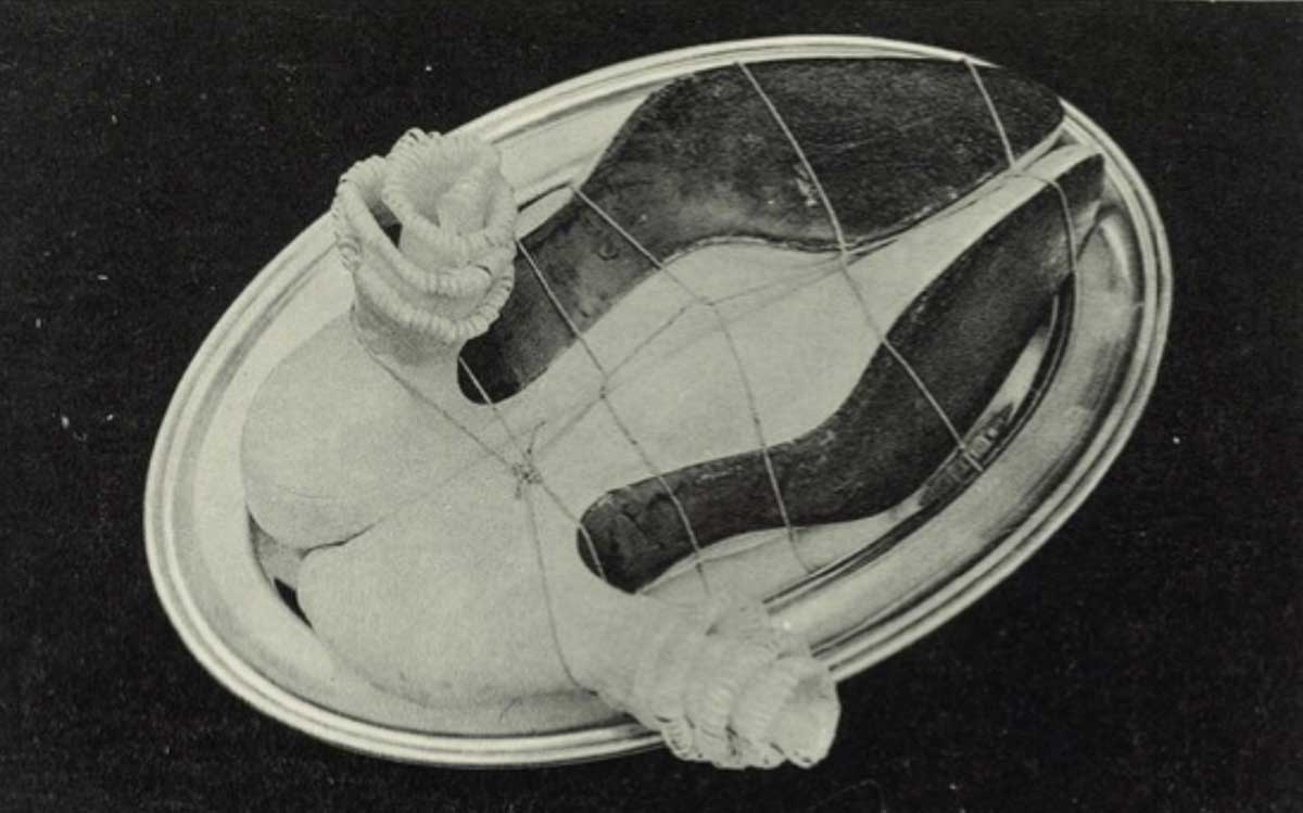 surrealist sculptures meret oppenheim my nurse