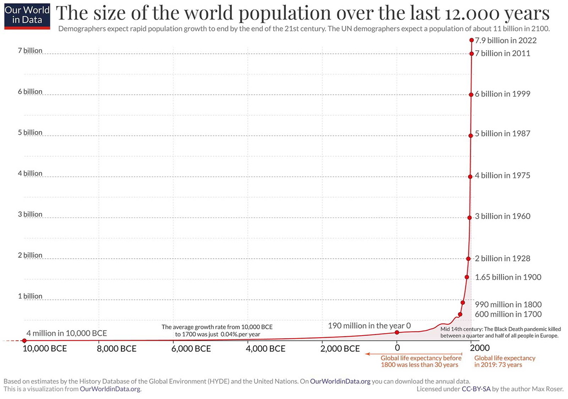 word population size