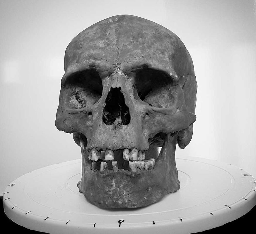 Skull turntable