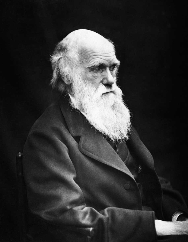 charles darwin black white photograph