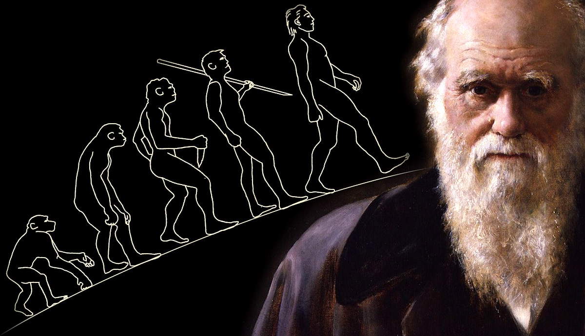 Charles Darwin s Most Important Contributions To Philosophy TheCollector