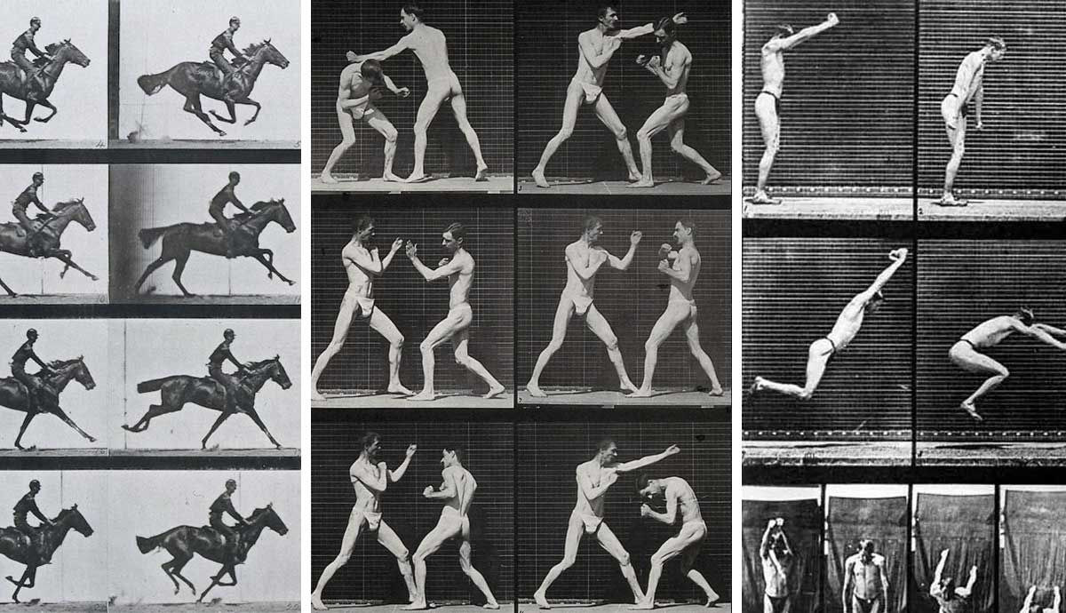 eadweard muybridge most famous photos