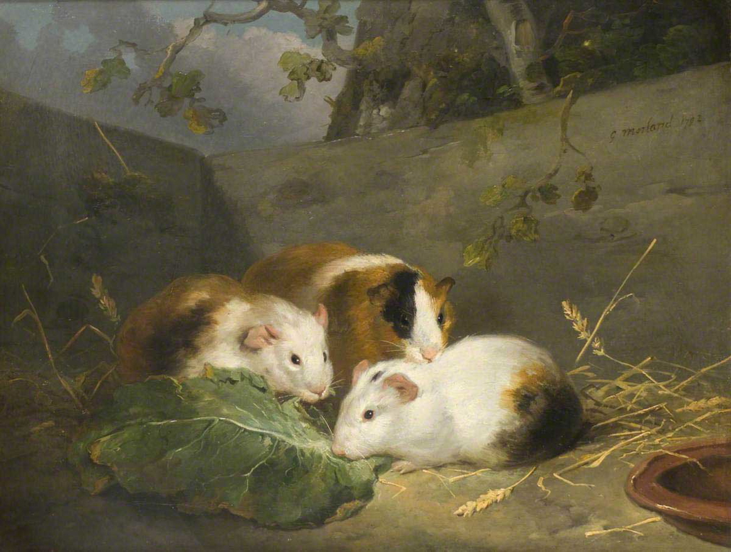 george morland guinea pigs painting