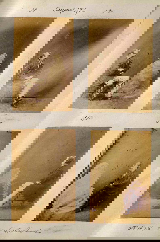 hudson album photo 1872
