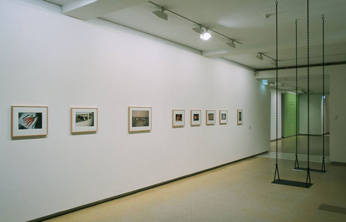 mona hatoum over my dead body