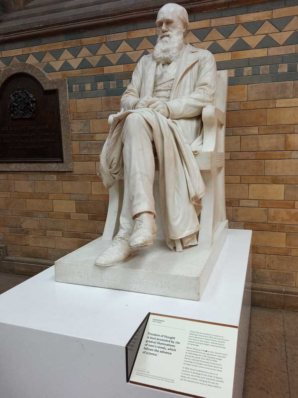 statue charles darwin natural history