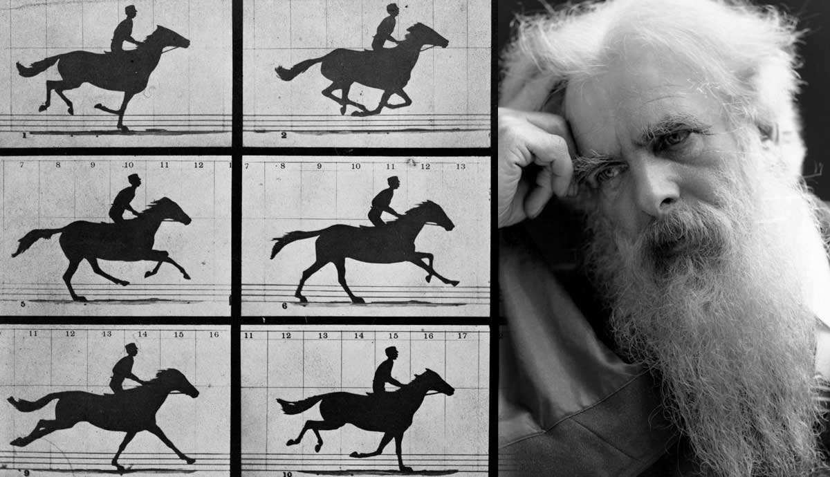 Who Invented the First Motion Picture Camera?