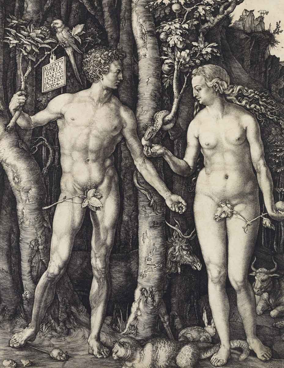 adam eve durer