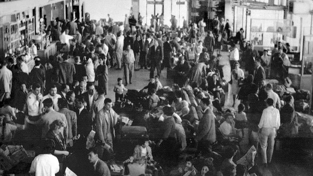 algerian war independence europeans algiers