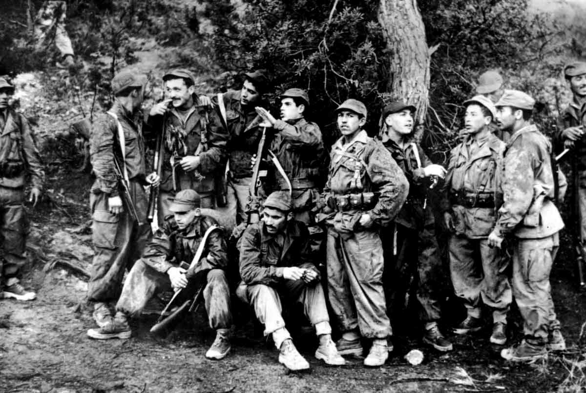 algerian war independence fln soldiers