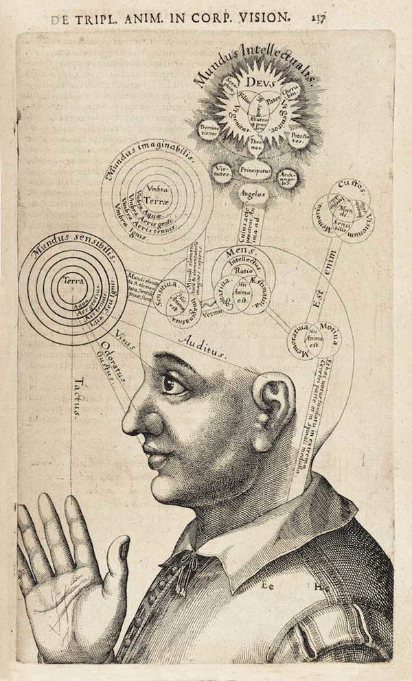David Hume: Are Cause and Effect Always Linked?
