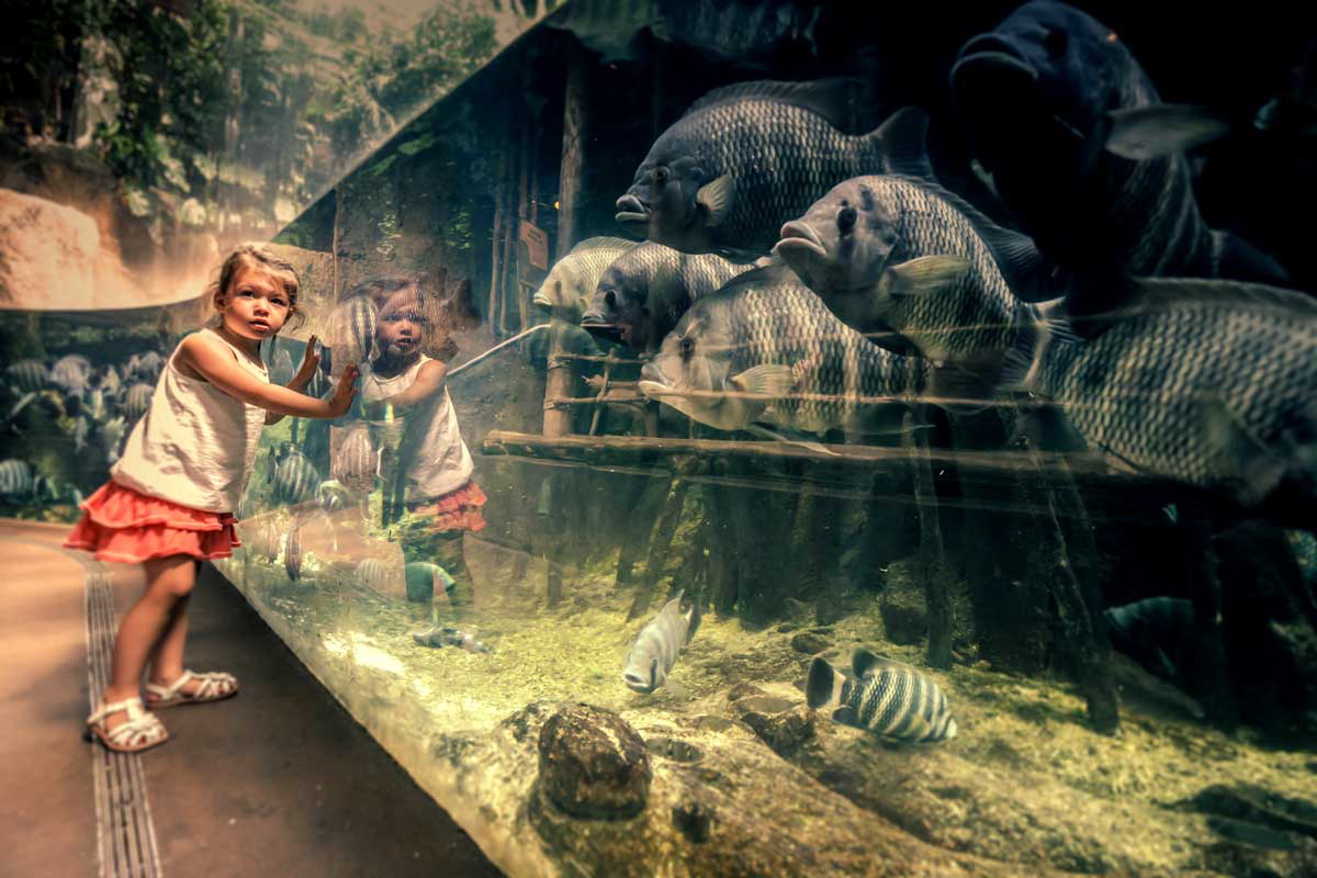 girl near aquarium pexels andrzej mucka photography