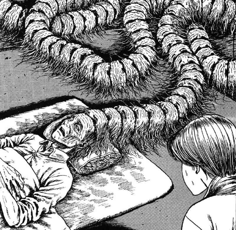 junji ito my dear ancestors panels