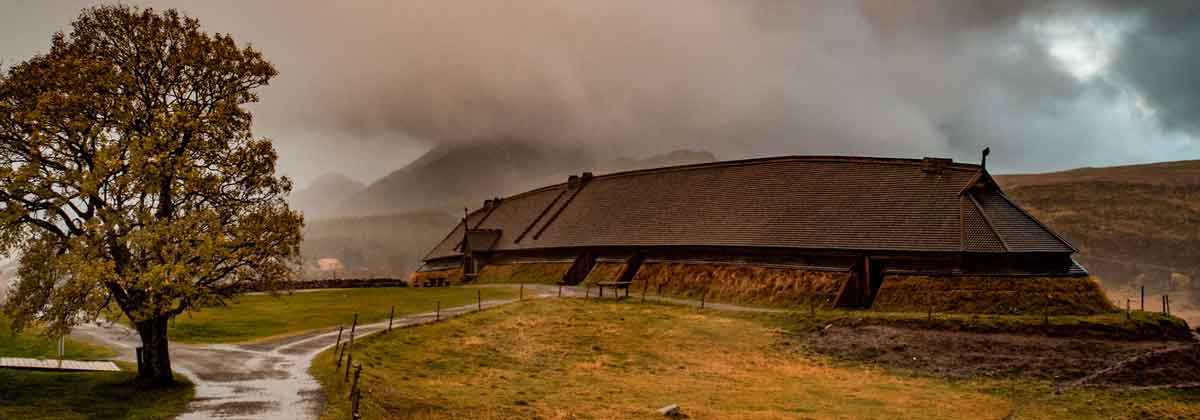 longhouse viking borg