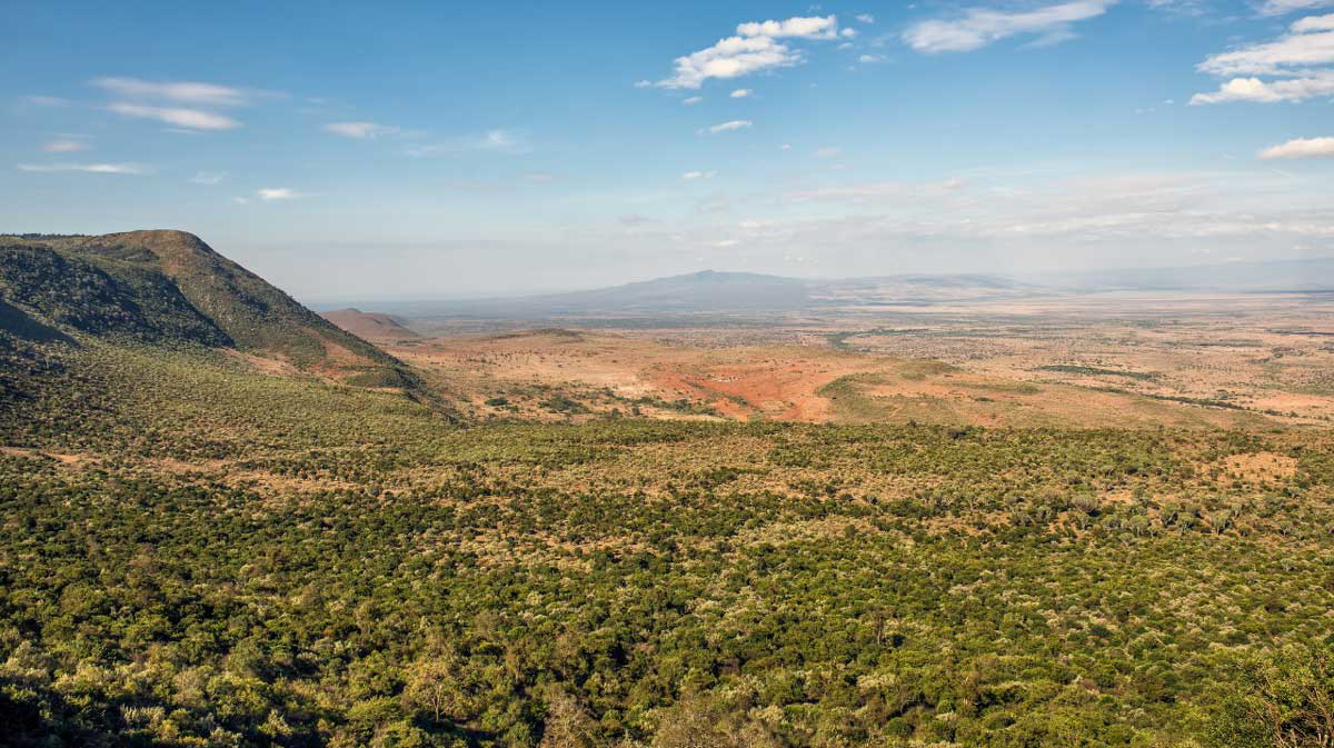 mau mau rebellion kenya