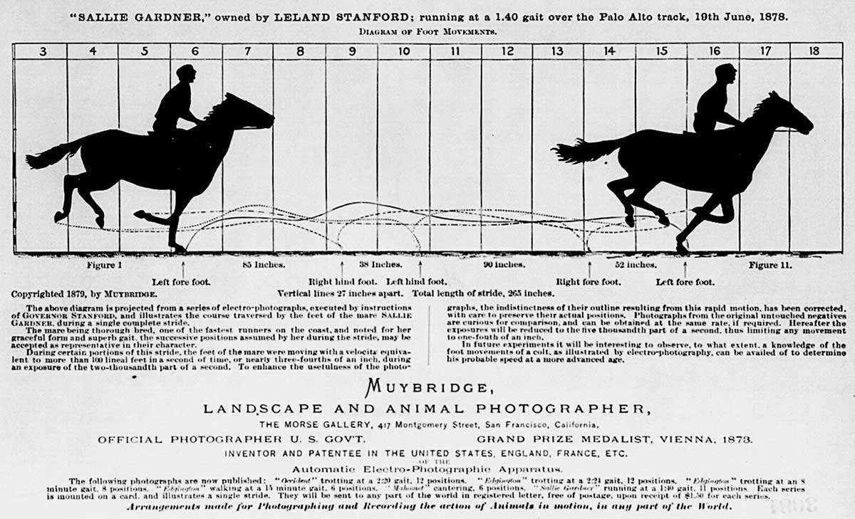 muybridge horses motion