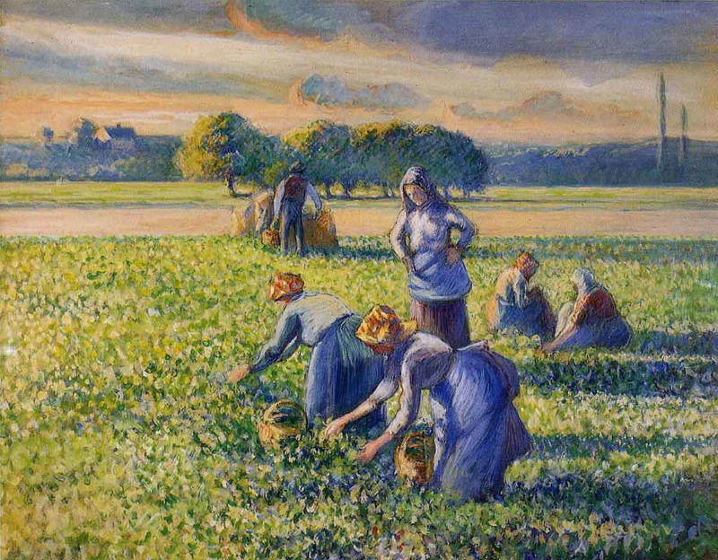 camille pissarro picking peas