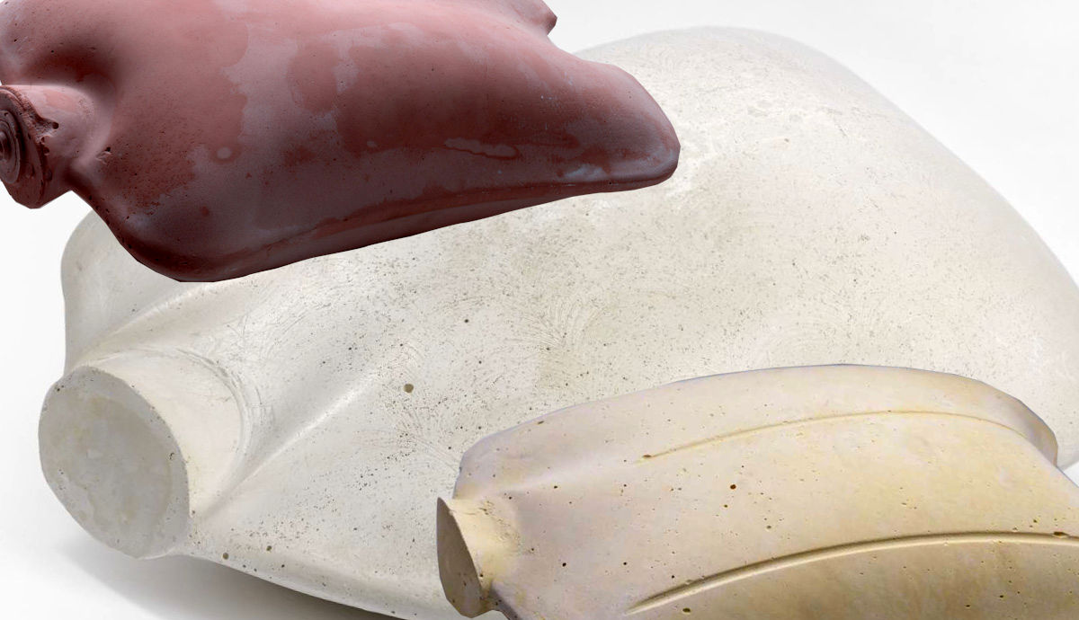 rachel whiteread hot water bottle torsos