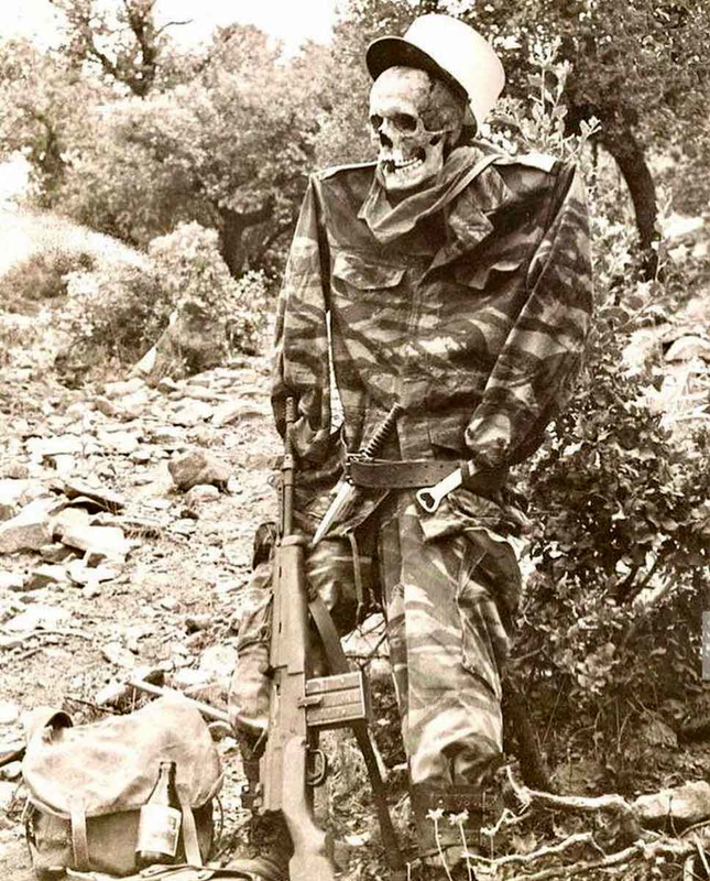 skeleton ffl scarecrow
