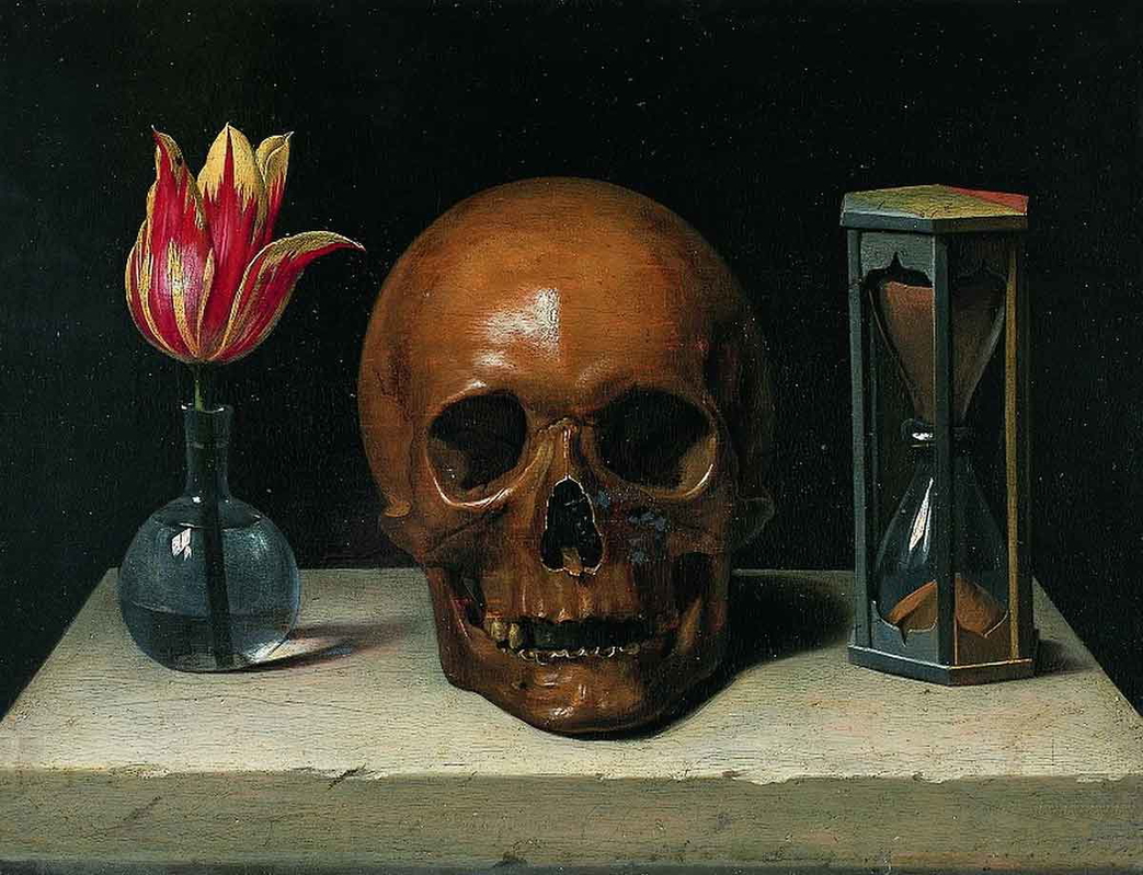 still life with skull