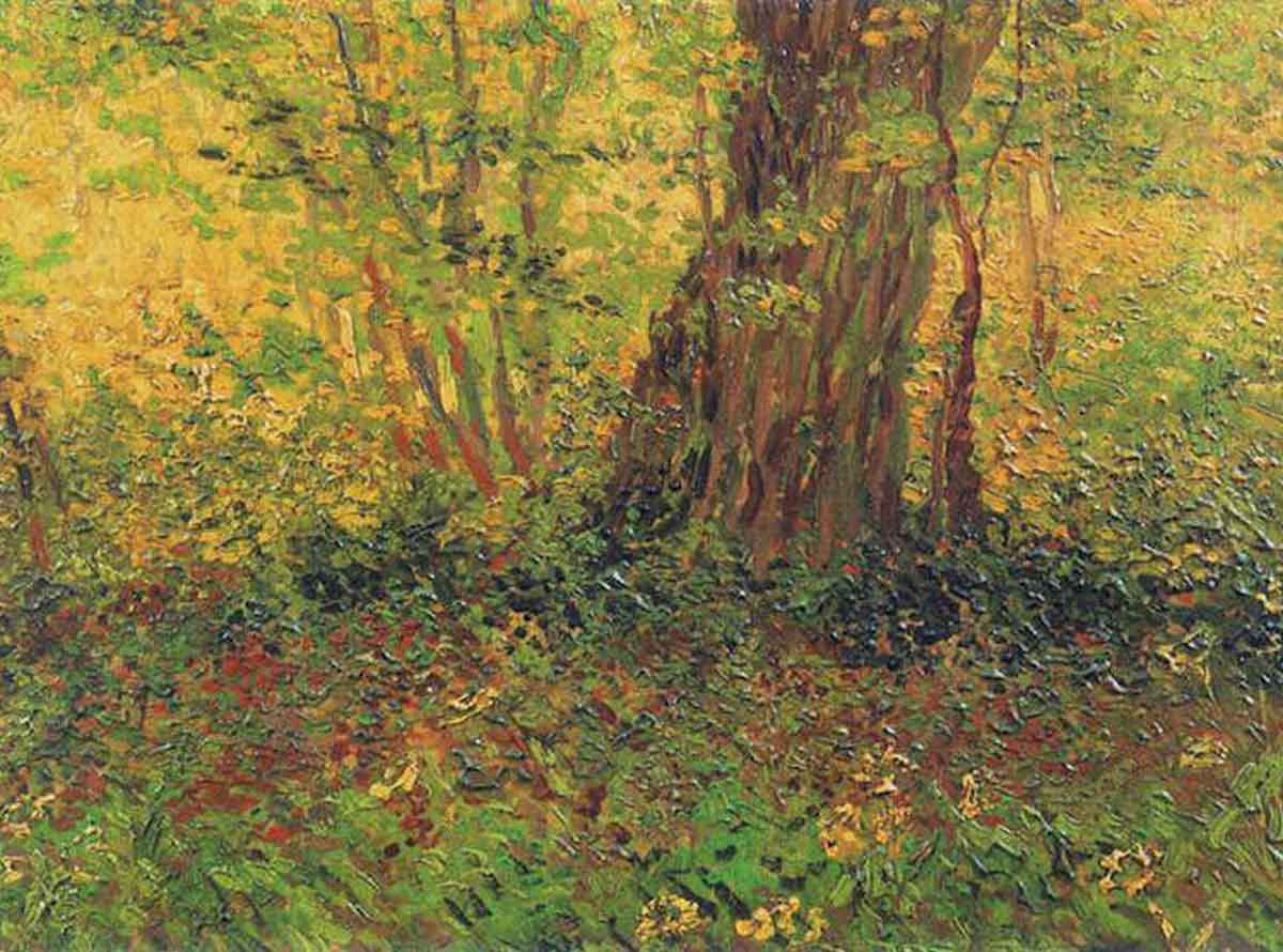 vincent van gogh undergrowth painting